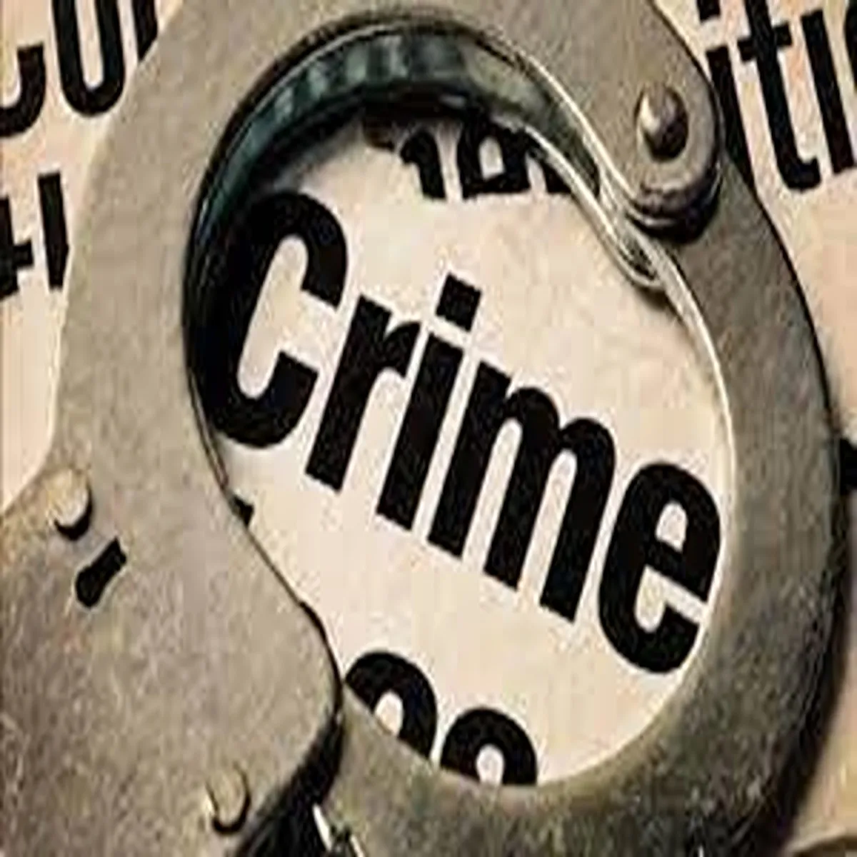Crime investigation meerut police recover missing