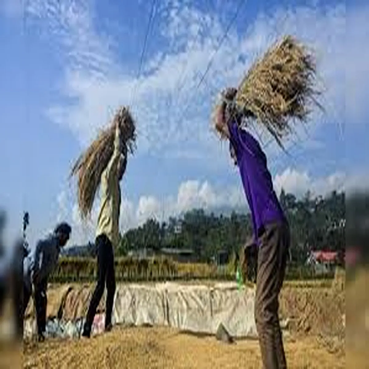 Compensation delhi raises crop loss aid