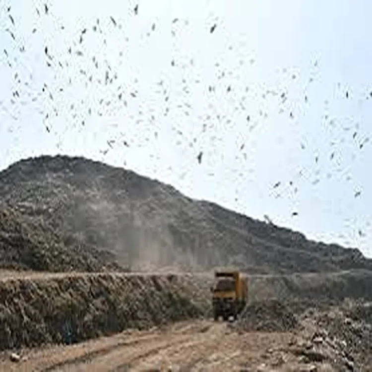 Delhi ghazipur landfill cleanup expansion