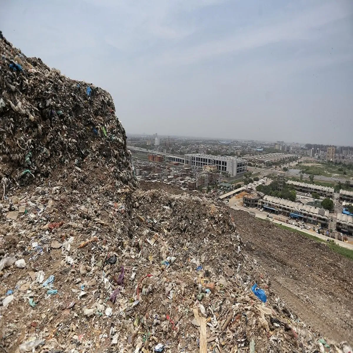 Seotrends delhi civic hospitals move towards