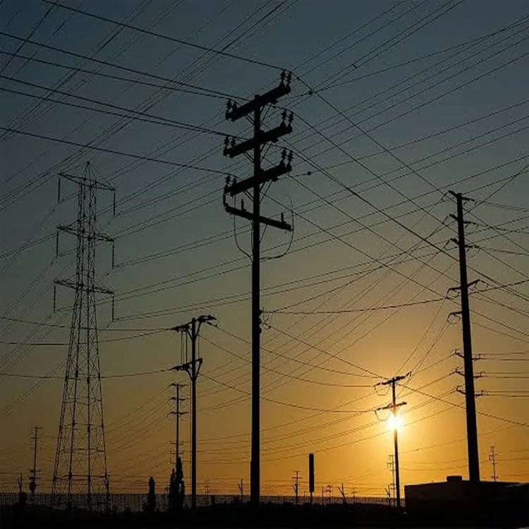 Delhi power sector audit reforms
