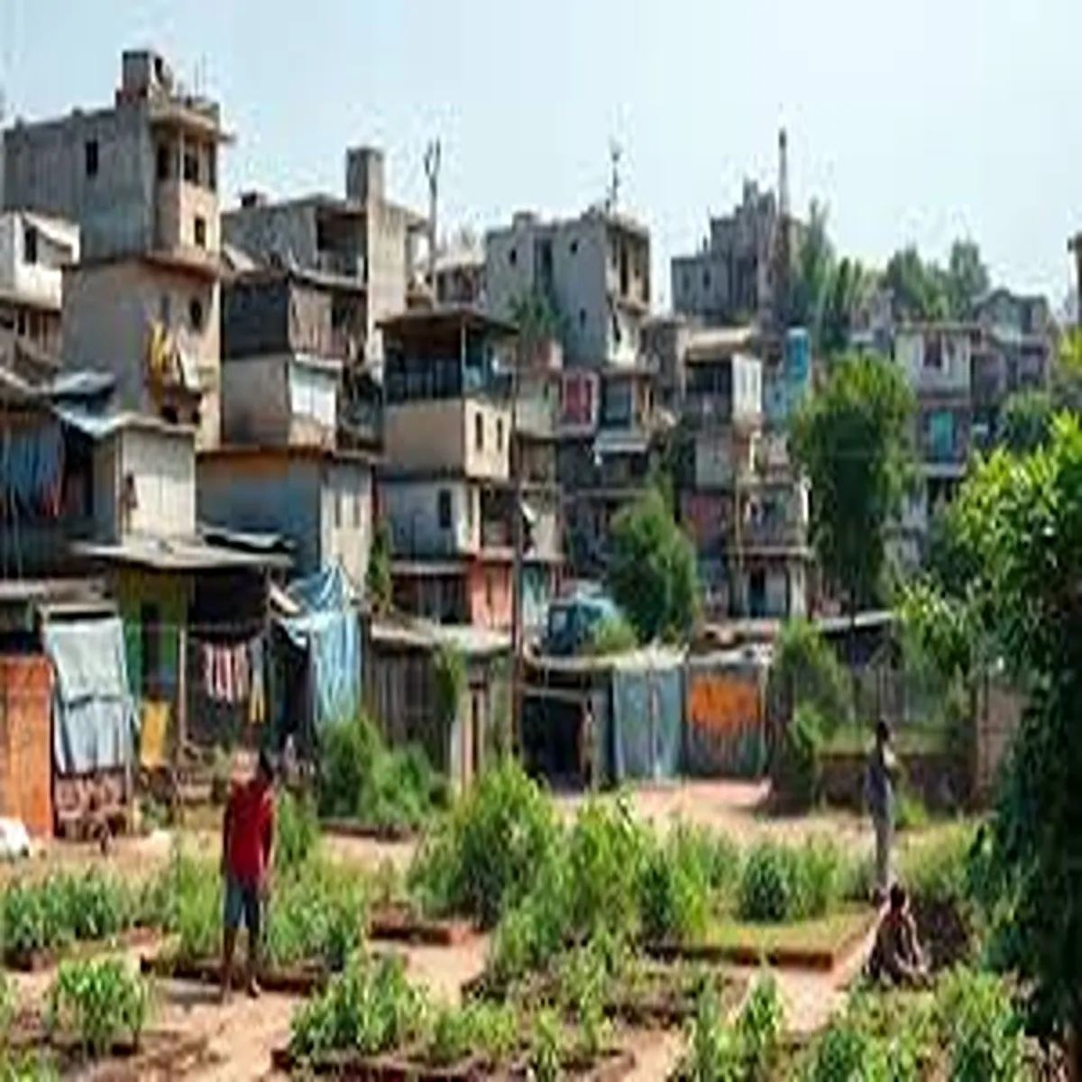 Rehabilitation delhi finalises new policy slum
