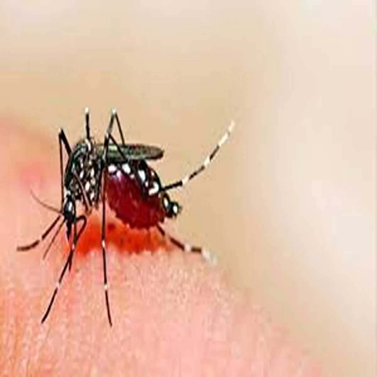 Health update delhi reports lower vector