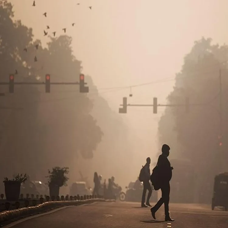 Delhi winter air pollution action plan