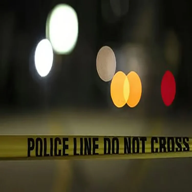 Delhi woman suicide domestic abuse probe