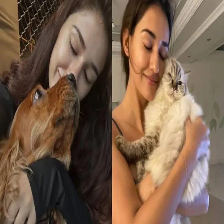 Disha patani mourns beloved pets loss