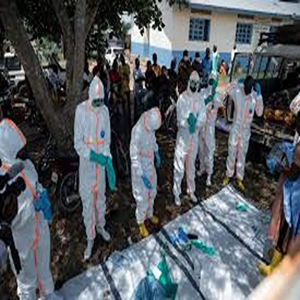Ebola congo reports rise ebola cases