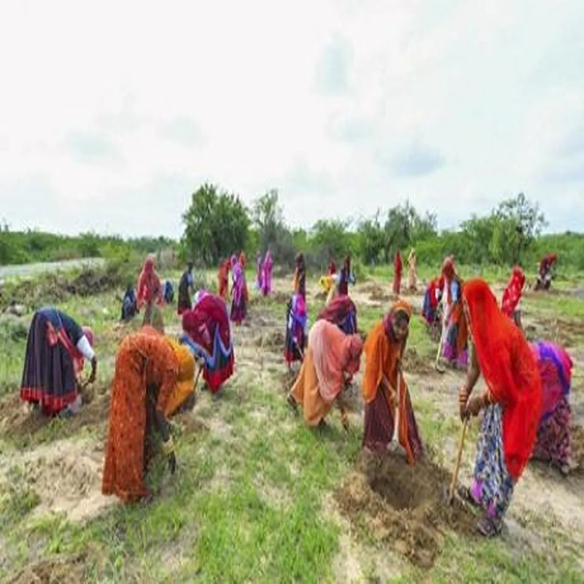 Employment jammu kashmir launches new rural