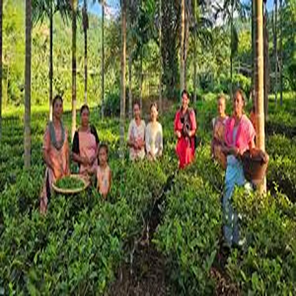 Environment assam mobilises women groups statewide