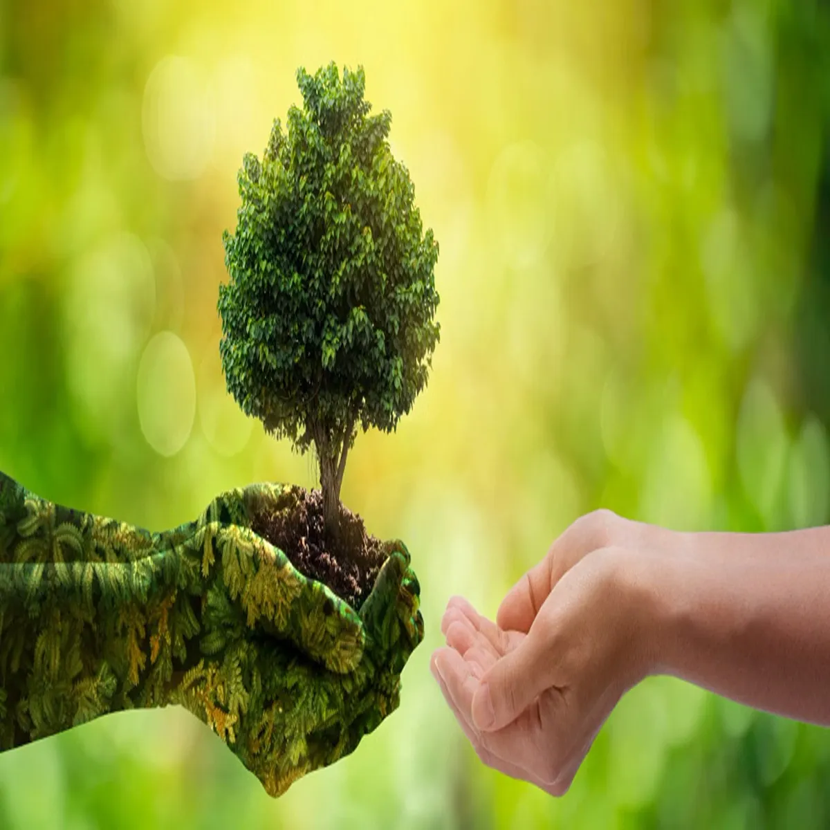 Environment community efforts highlight sustainable living