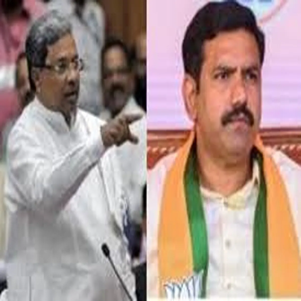 Governmentholiday karnataka announces half day closure