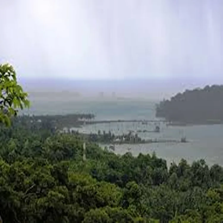 Great nicobar ecological review concerns