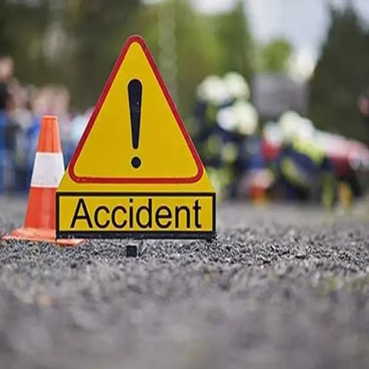 Gujarat luxury bus crash seven dead