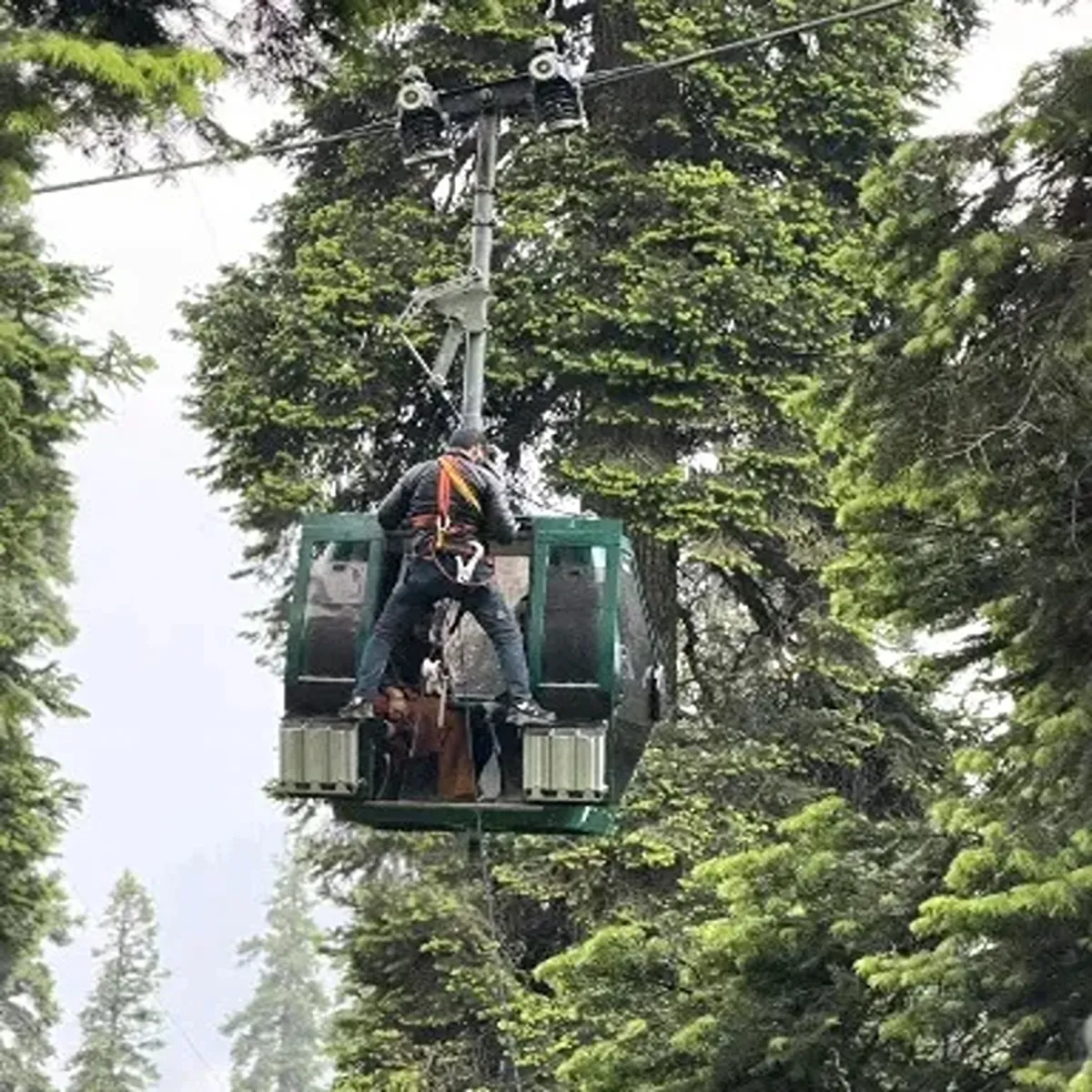 Tourism gulmarg gondola services resume after
