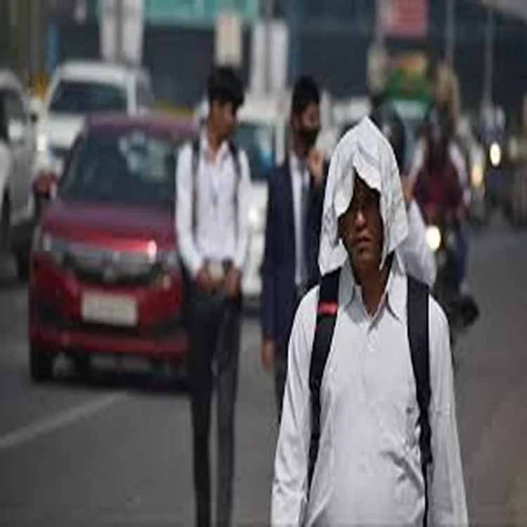 Heatwave delhi hospitals preparedness