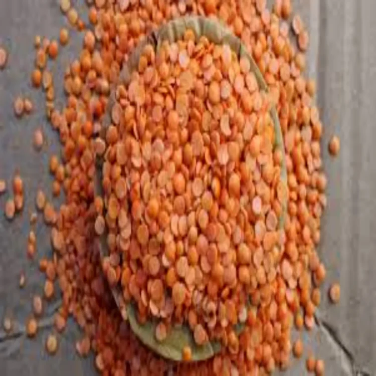 Homemade rose lentil face pack glow