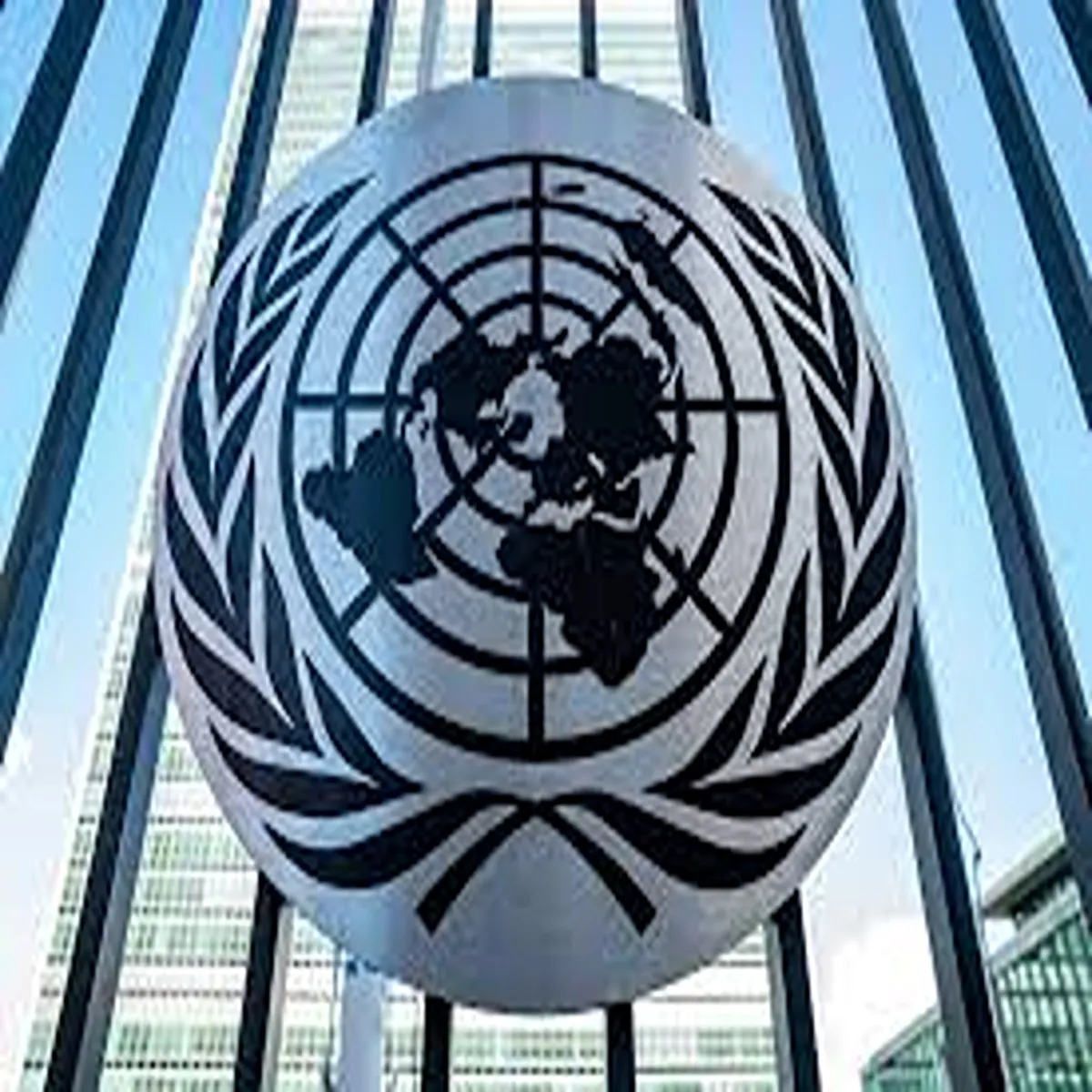 Humanrights international groups seek intervention over