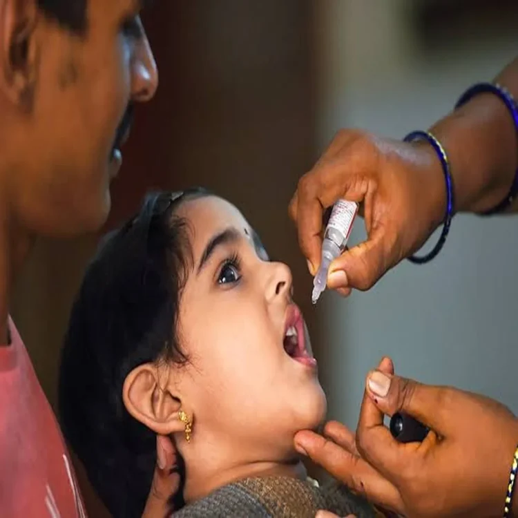 Images 36 11zon 11zon