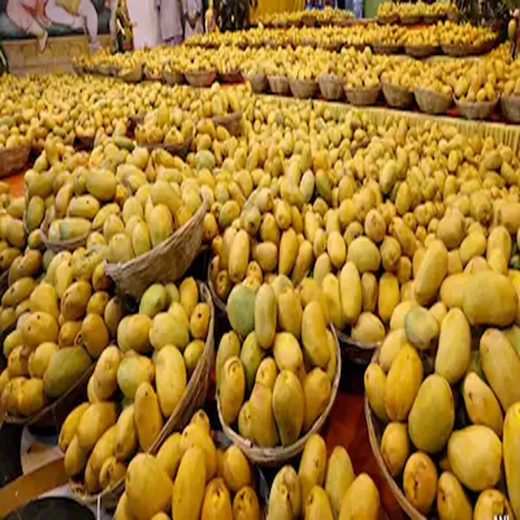 Indian mangoes demand us retail market