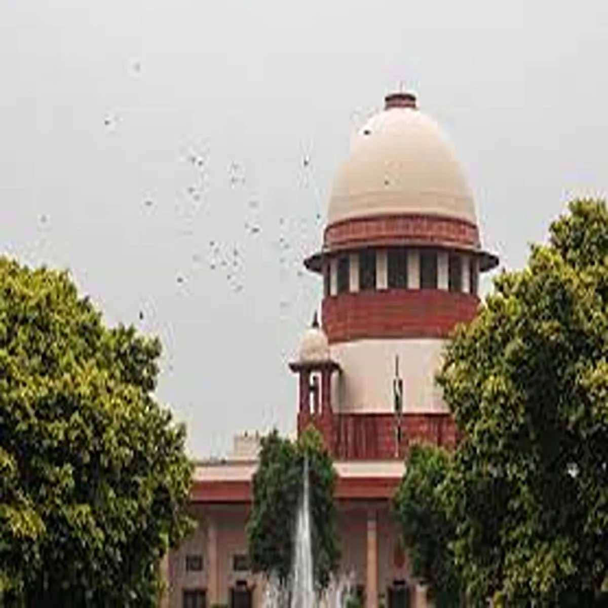 Justice supreme court recognises homemakers nation