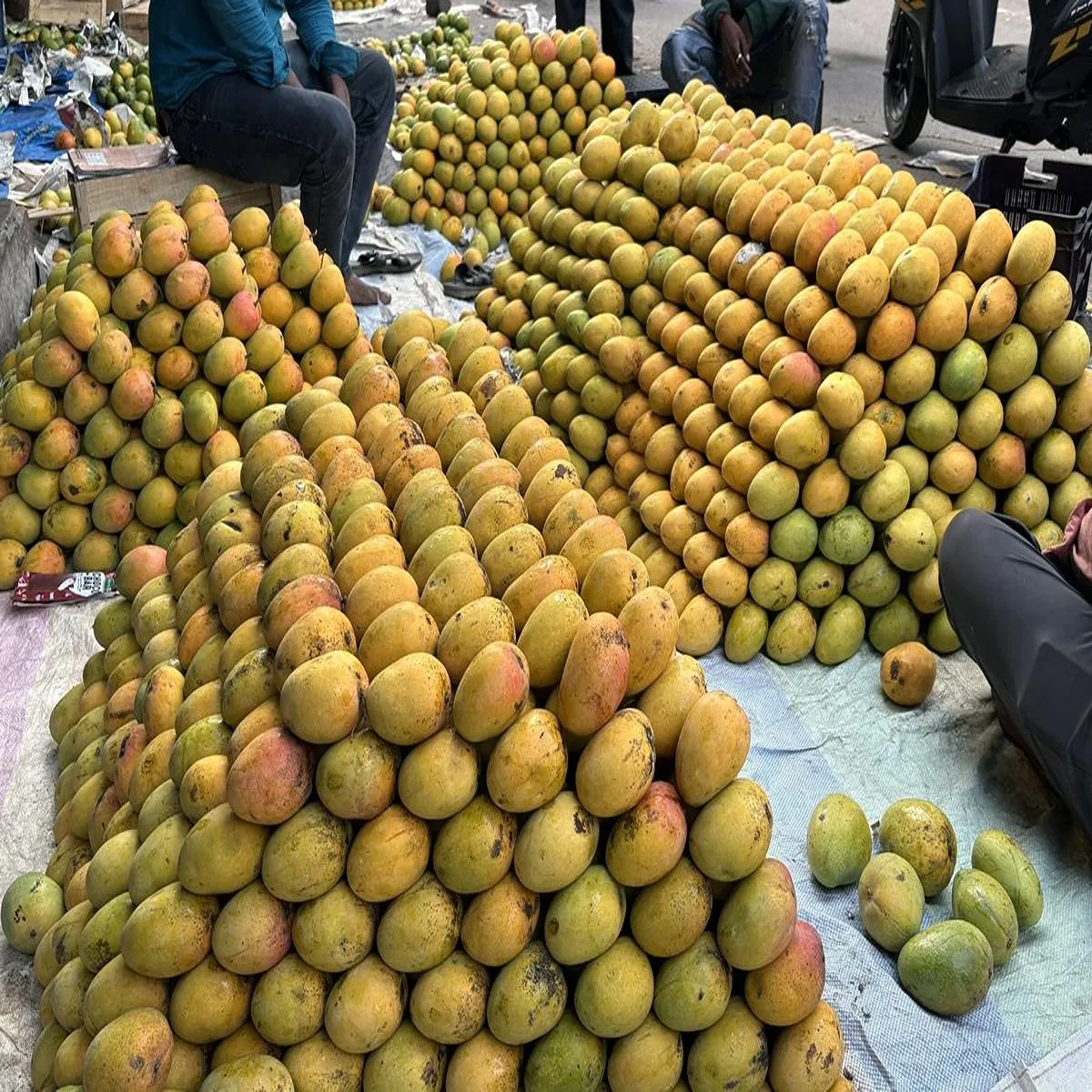 Agriculture karnataka mango growers receive market