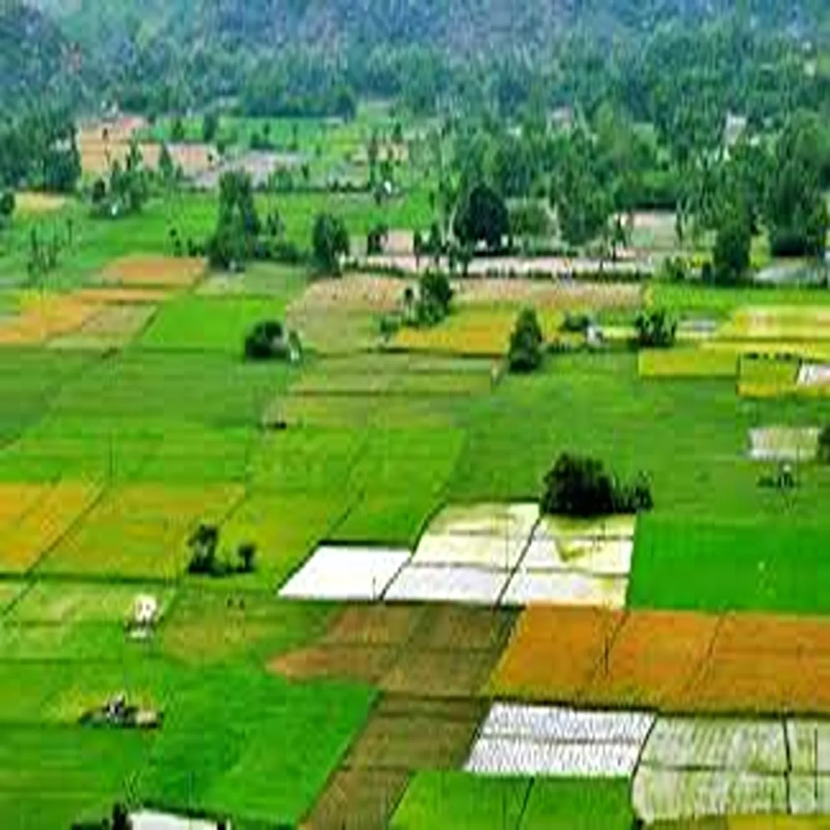 Landrecords andhra pradesh advances farmer land