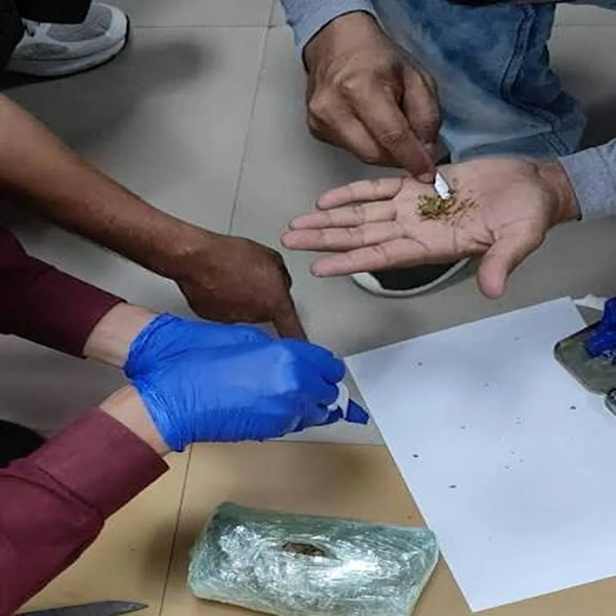Drugtrafficking manipur chief minister raises alarm