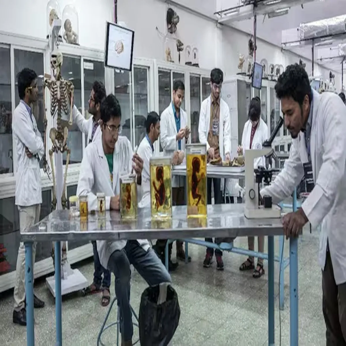 Medicaleducationreform nmc sets timeline replace diploma