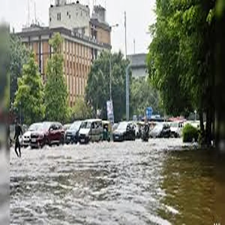 Monsoon preparedness delhi drain cleaning