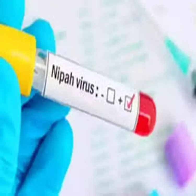 Nipah virus kerala infection alert