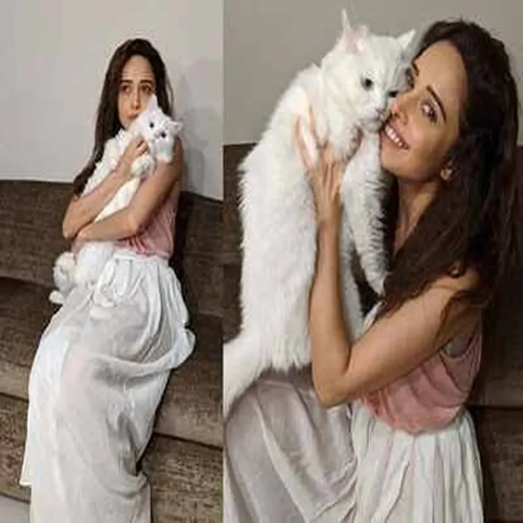 Nushrratt bharuccha monsoon pet cat moments