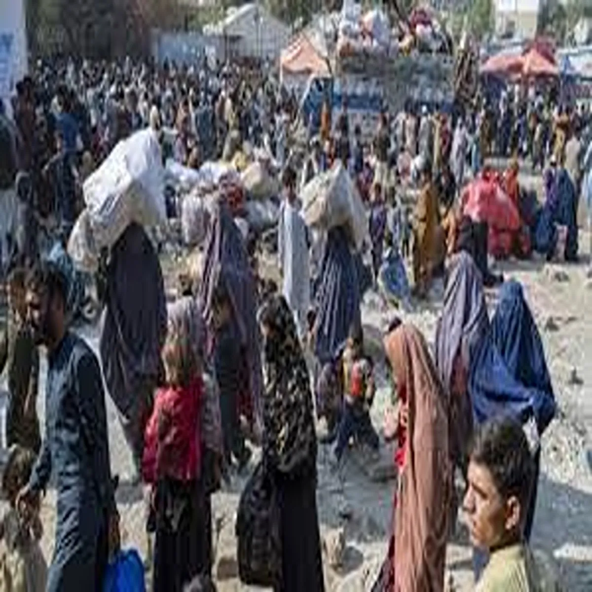 Immigration pakistan orders immediate arrest undocumented