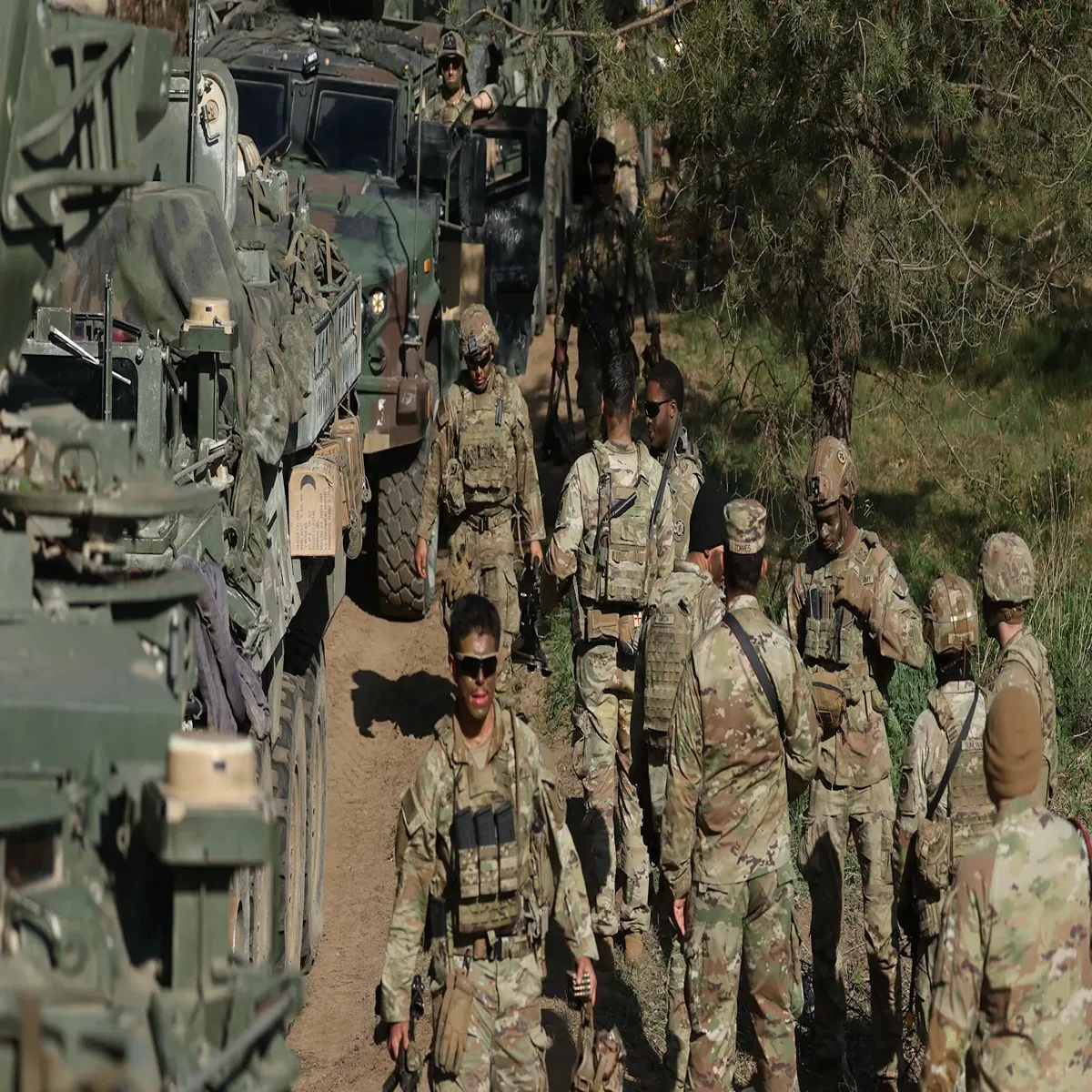 Natoreview pentagon signals major reassessment military