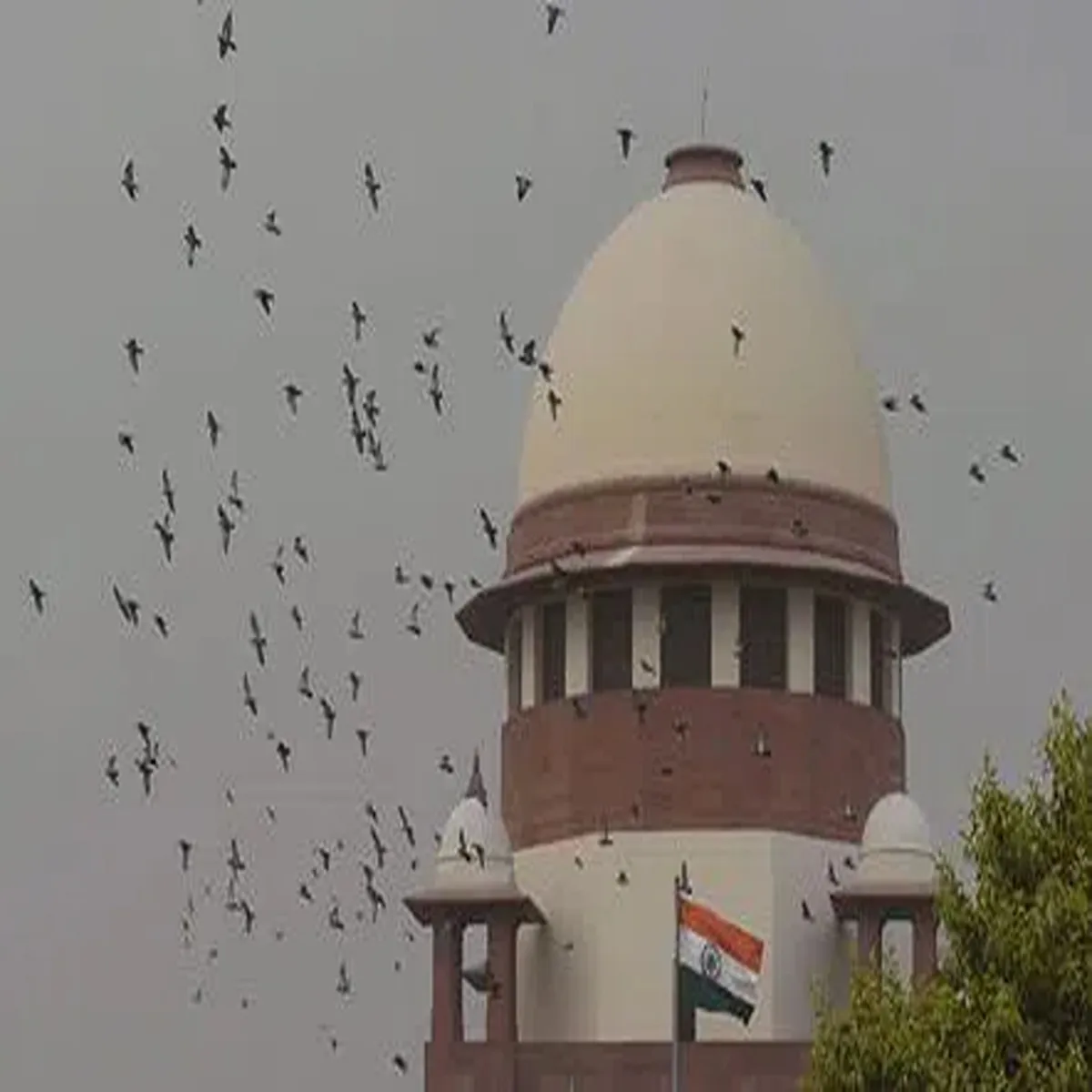 Pocso case supreme court uses constitutional