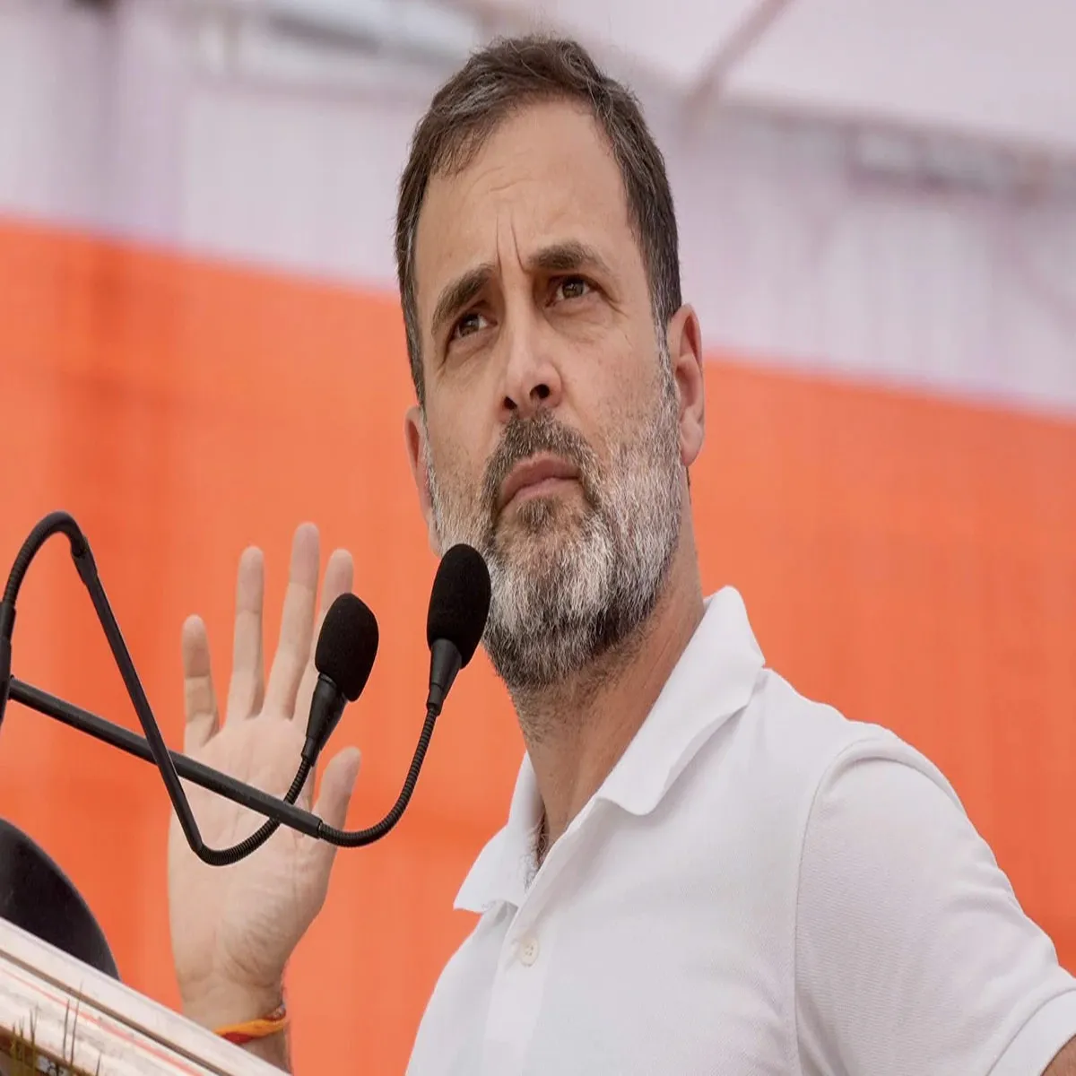 Politics rahul gandhi rajasthan visit puts