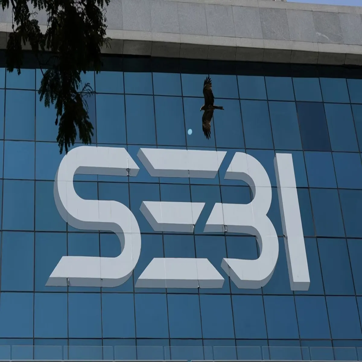 Sebireforms unified advertising framework proposed market