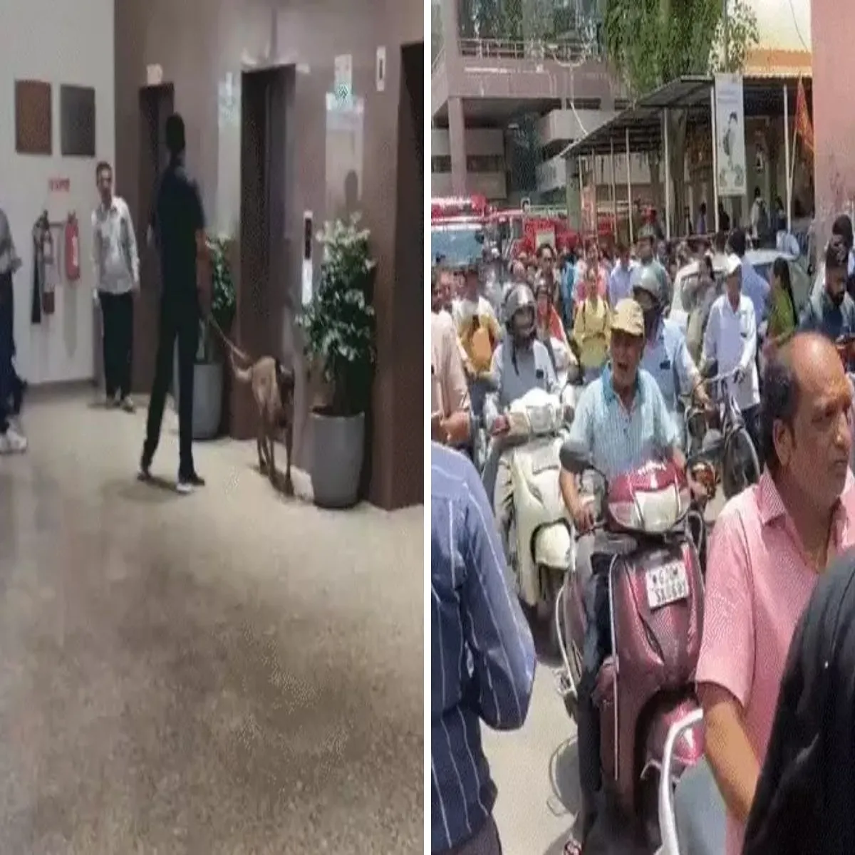 Security alert gujarat agencies intensify probe