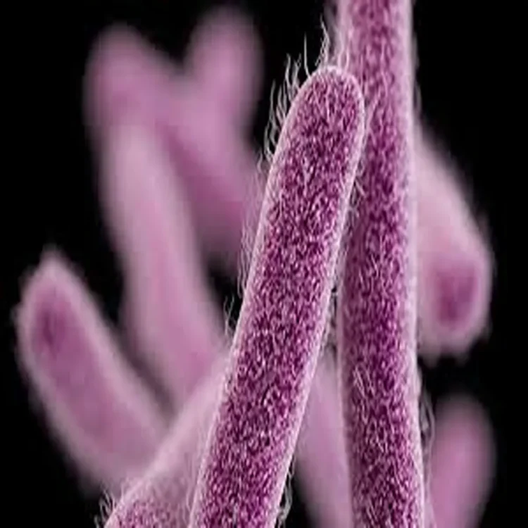 Shigella kerala cases prevention drive
