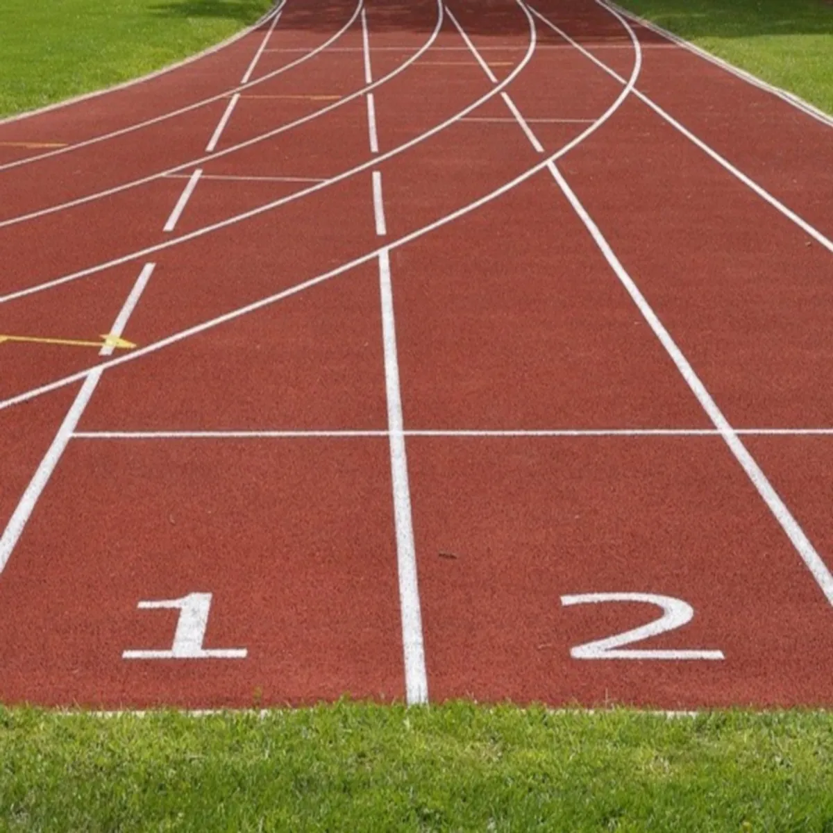 Sportscsr government brings sports into cpse