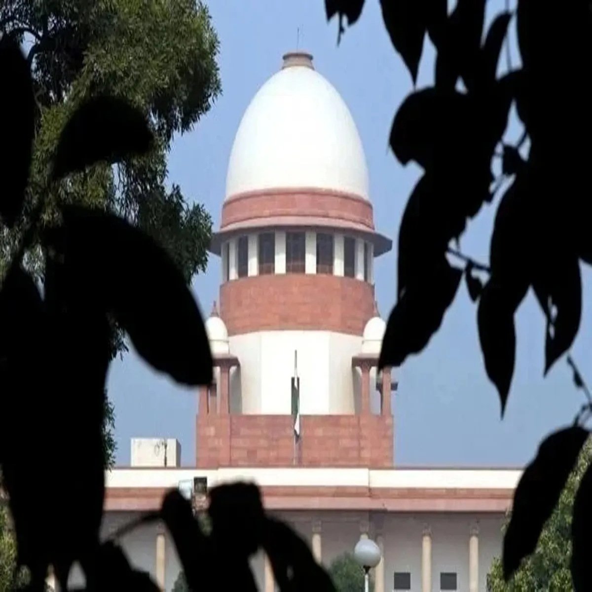 Seokeyword supreme court seeks detailed replies