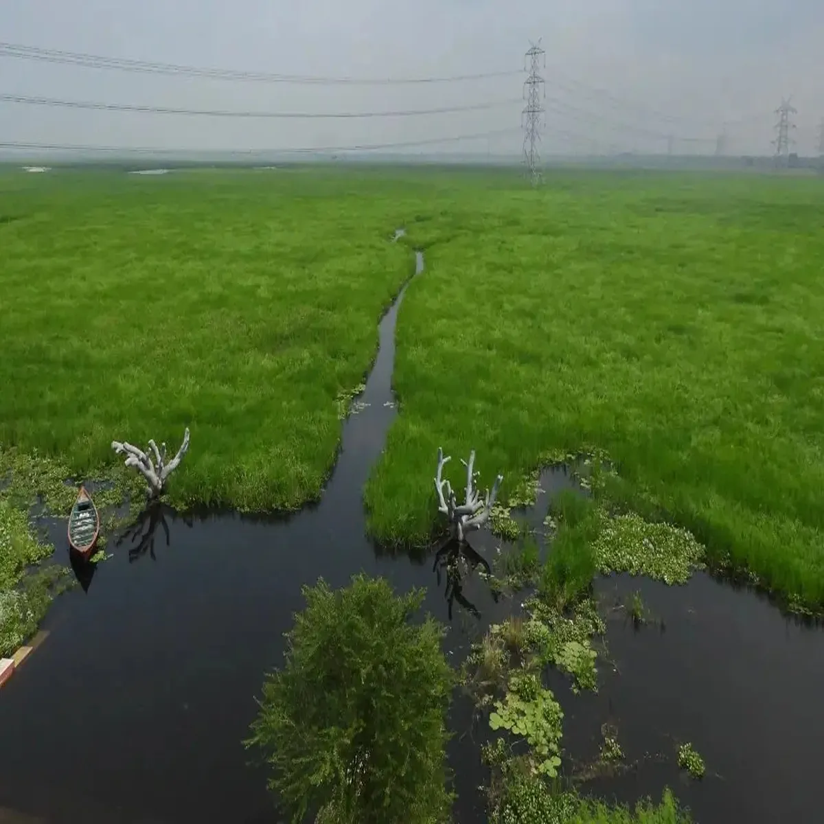 Wetlands surha tal earns global recognition