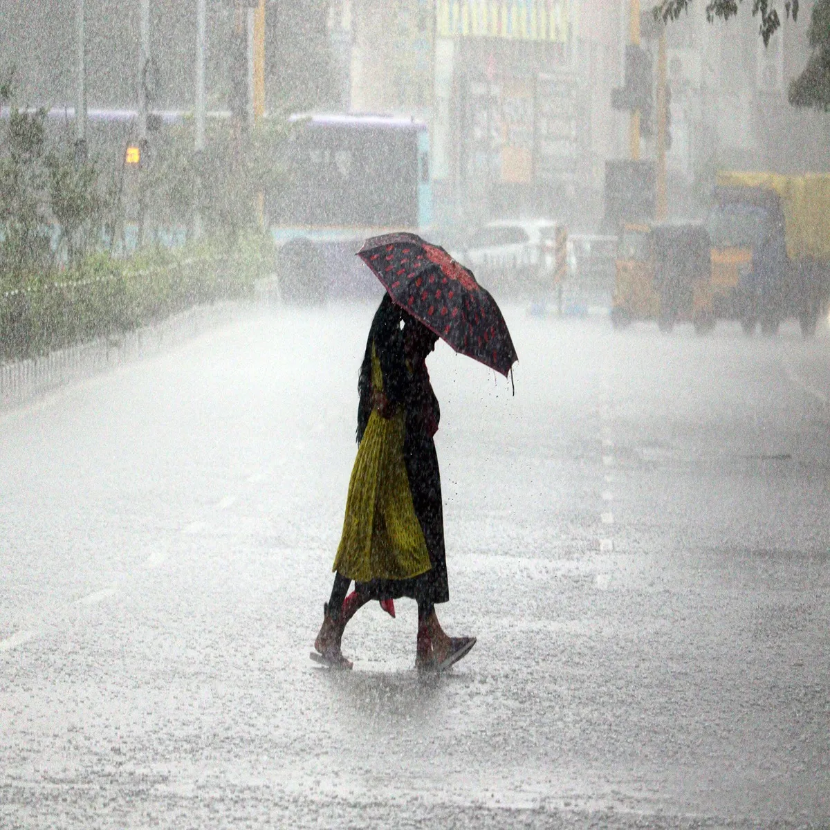 Weather alert heavy rain strong winds