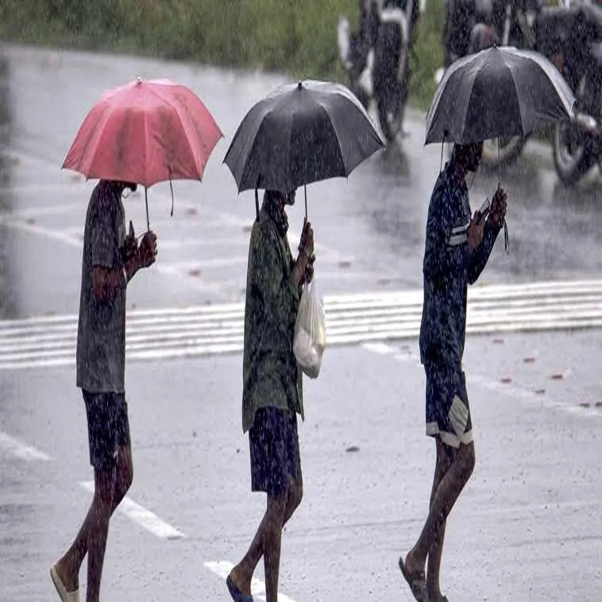 Weather update rain forecast brings relief