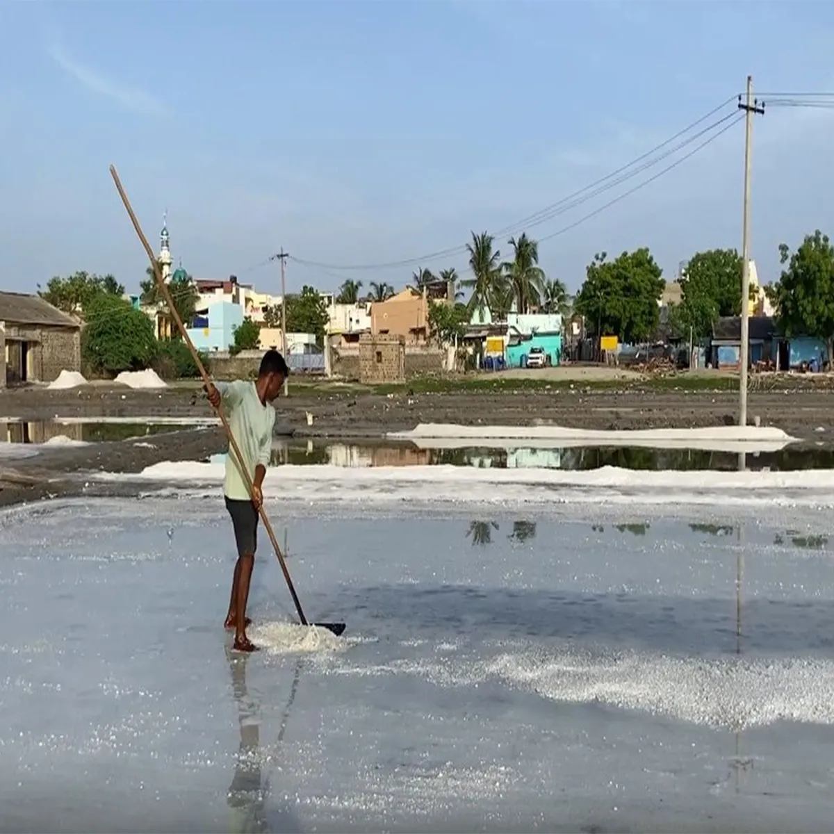 Livelihoods tamil nadu salt workers seek