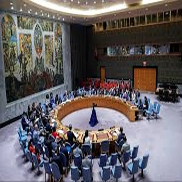Un reform security council changes india