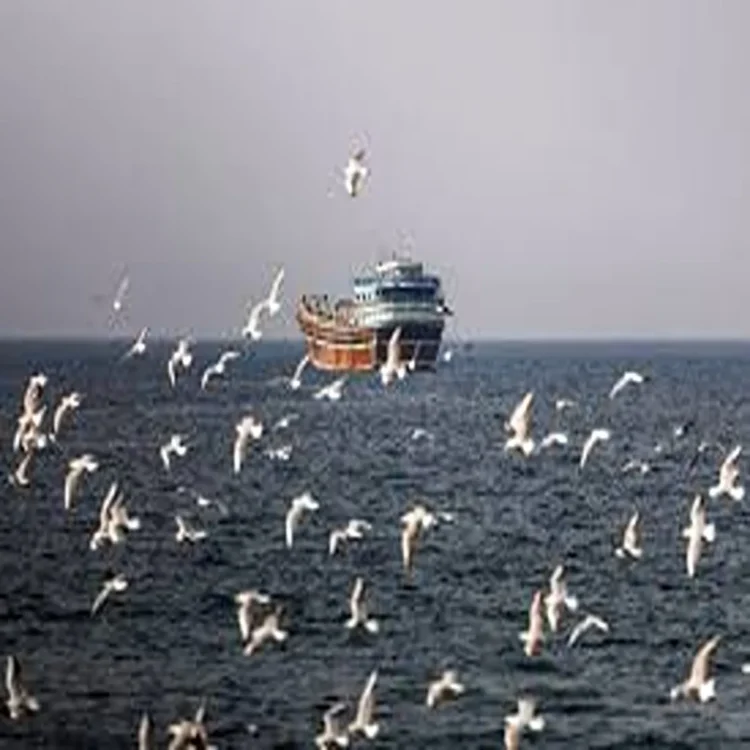 Us security role strait of hormuz