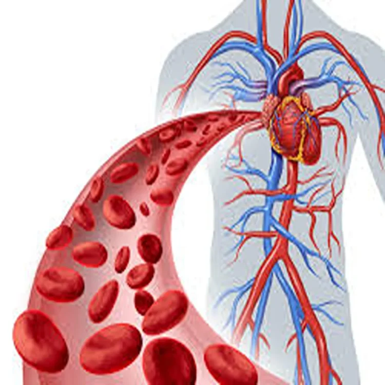 Vascular health blood vessel disorders lifestyle diseases