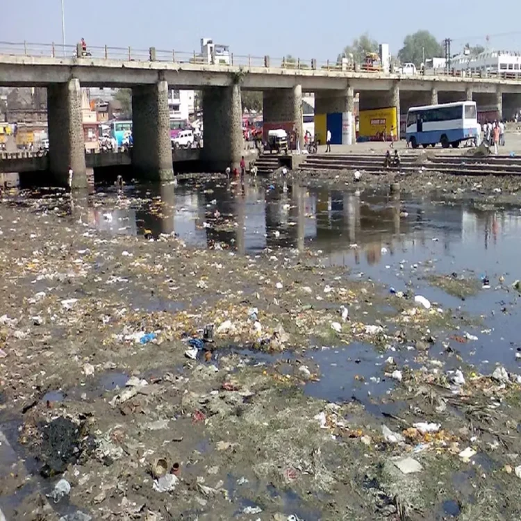 Water quality godavari pollution threat