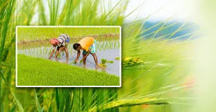 West bengal rural schemes revival