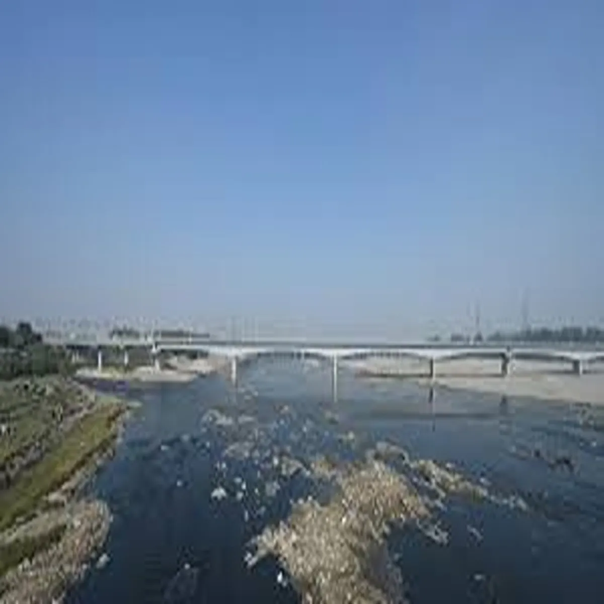 Waterquality delhi yamuna water quality shows